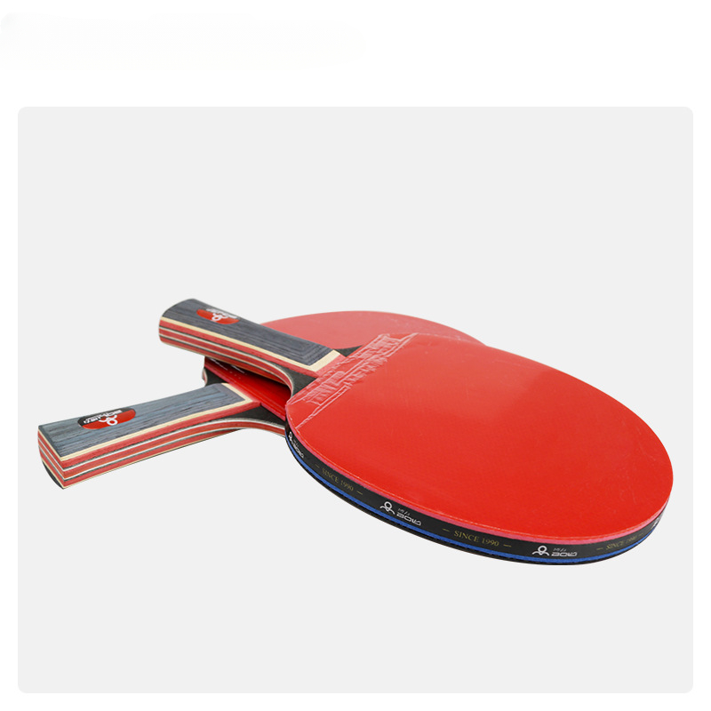 Training Entertainment 2-Schlä – Table Tennis Net Set Bewertung und Preis