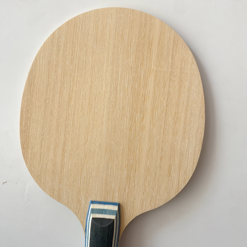 Lemuria VIS Carbonfaser Tischt – Table Tennis Viscaria Bewertung und Preis