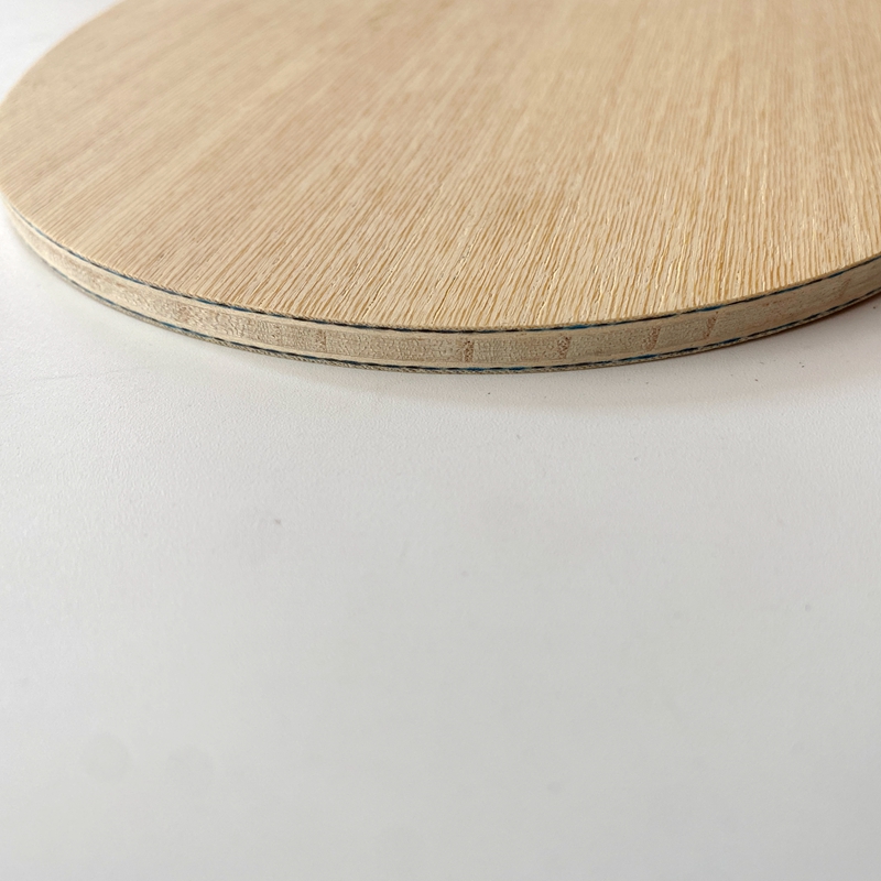 Lemuria VIS Carbonfaser Tischt – Table Tennis Viscaria Bewertung und Preis